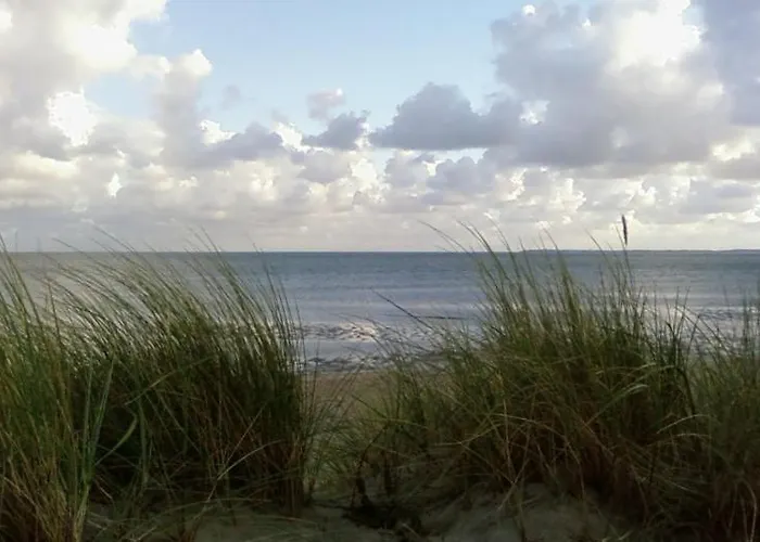 Whg Wattwurm Sandwall 60 Wyk *